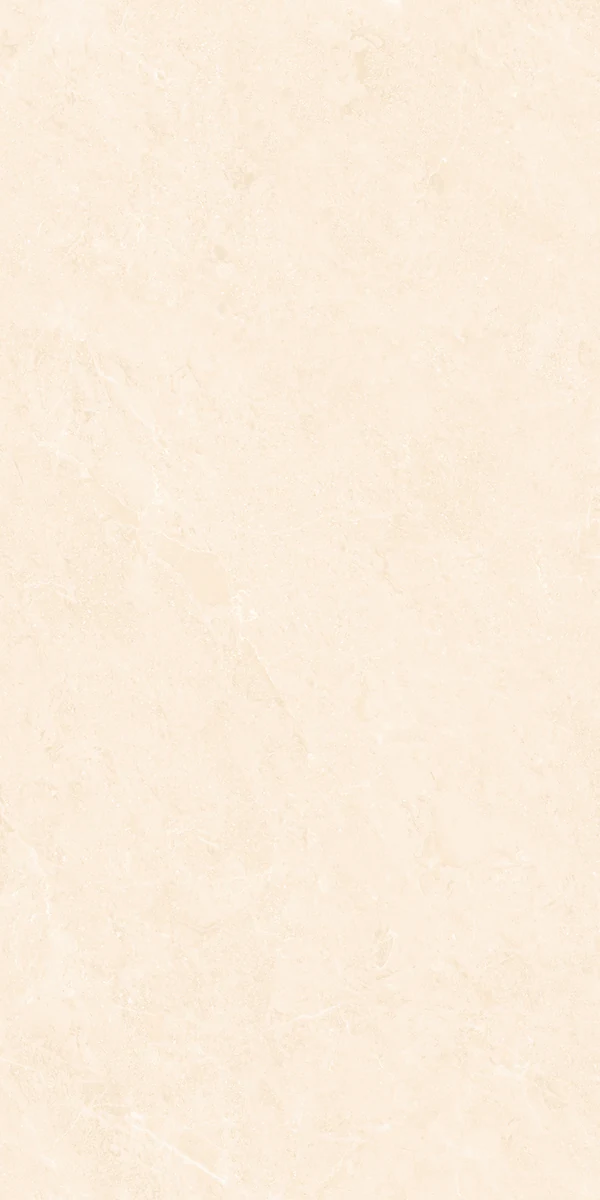 Mặt gạch BM-G61205P1 — góc 2 — 600x1200mm